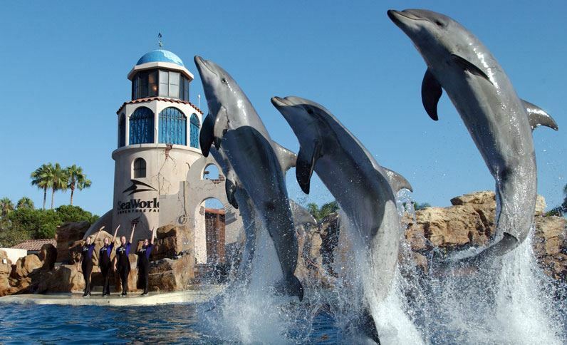 Holiday Inn San Antonio Northwest- Seaworld Area By Ihg Kültér fotó
